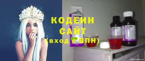хмурый Ельня