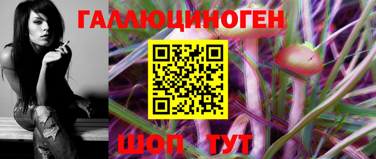 Псилоцибиновые грибы Cubensis  Вход с VPN  Нижнекамск 